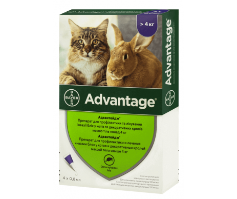 Bayer Advantage капли на холку от блох для кошек и кролей