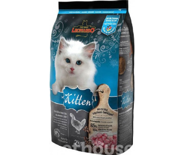 Leonardo Cat Kitten