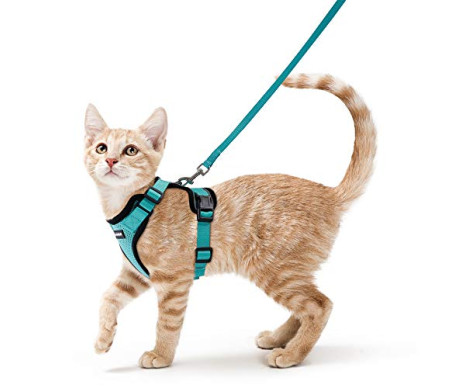Eagloo Cat Harness шлейка для кота