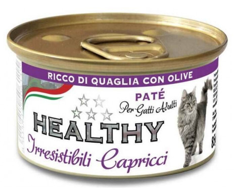 Healthy All days Cat Adult quail&olives Pate 