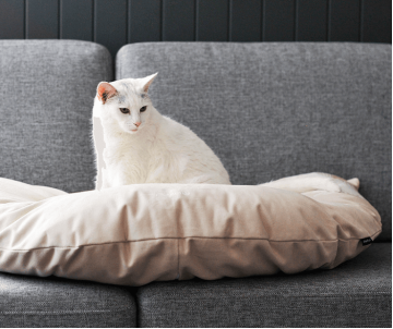 My Kotty EMI beige Ліжко для котів