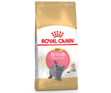 Royal Canin Cat KITTEN BRITISH SHORTHAIR 